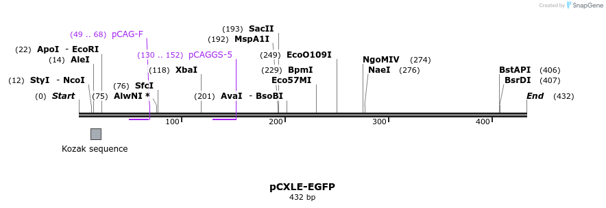 33346_map