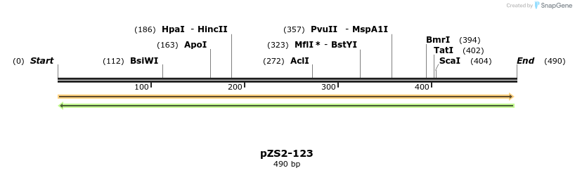 33347_map