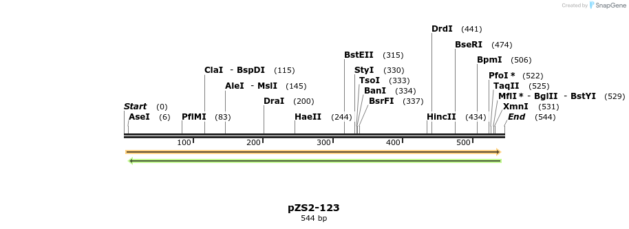 33348_map