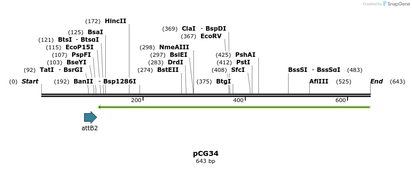33353_map