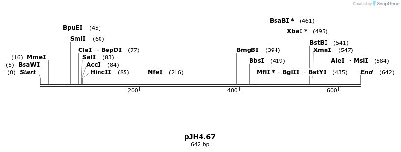 33361_map