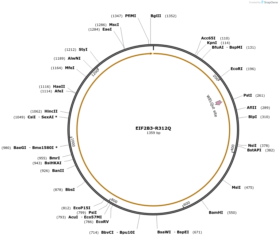 333672_map