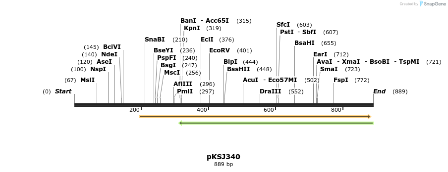 33368_map