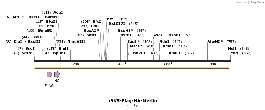 33369_map