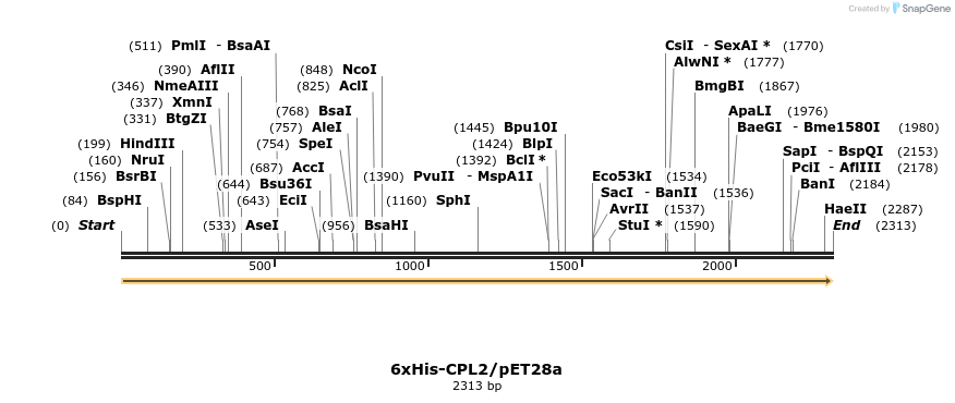 333699_map