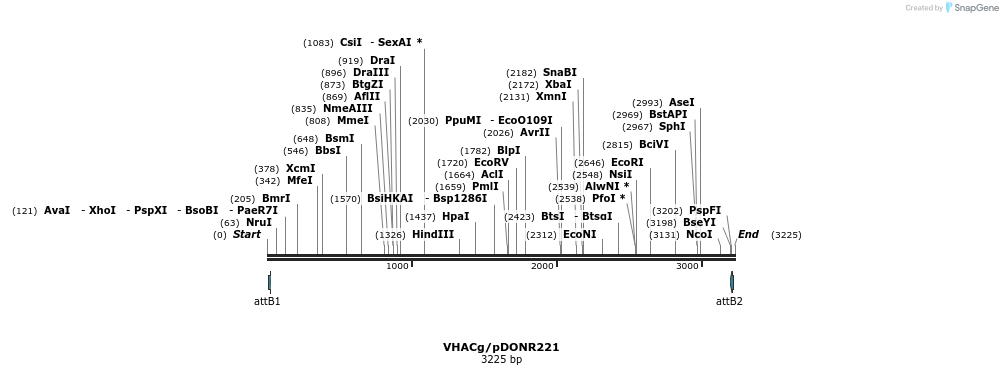 333700_map