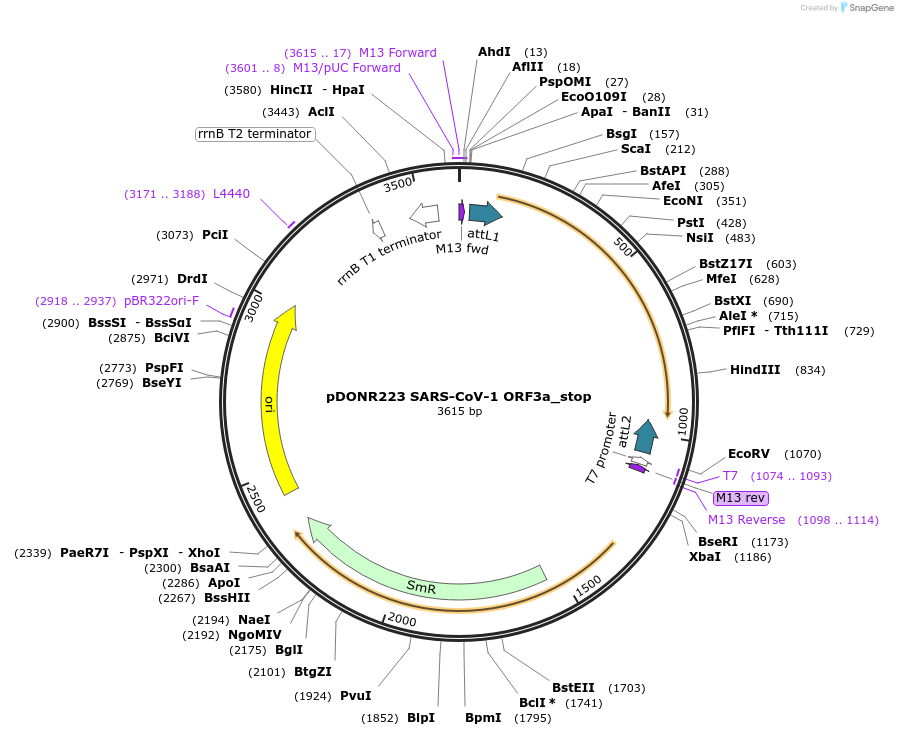 333711_map