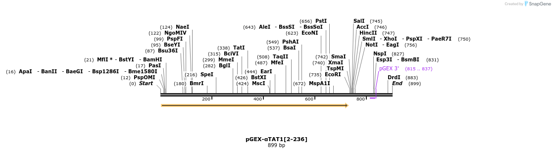 33373_map