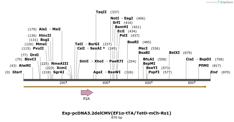 33376_map