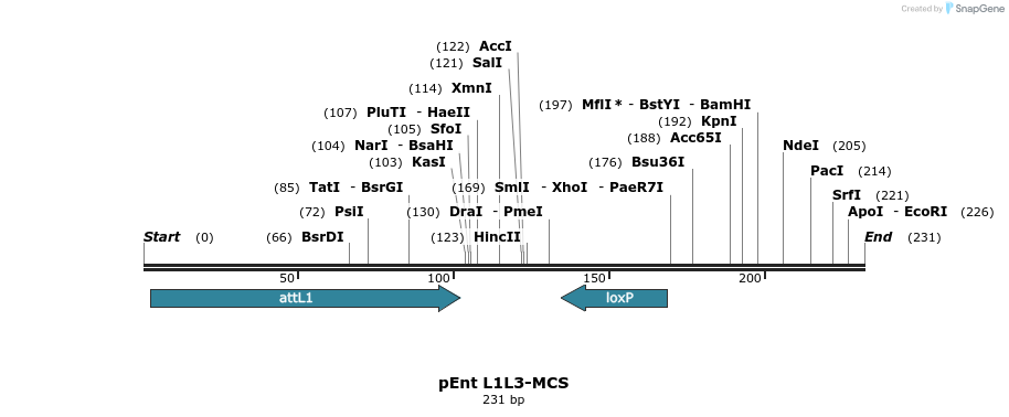 33378_map