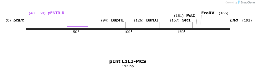 33379_map