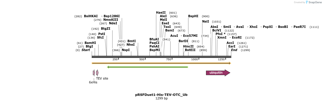 333820_map