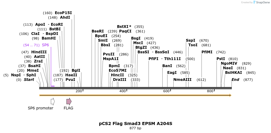 33392_map