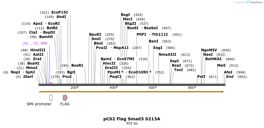 33400_map