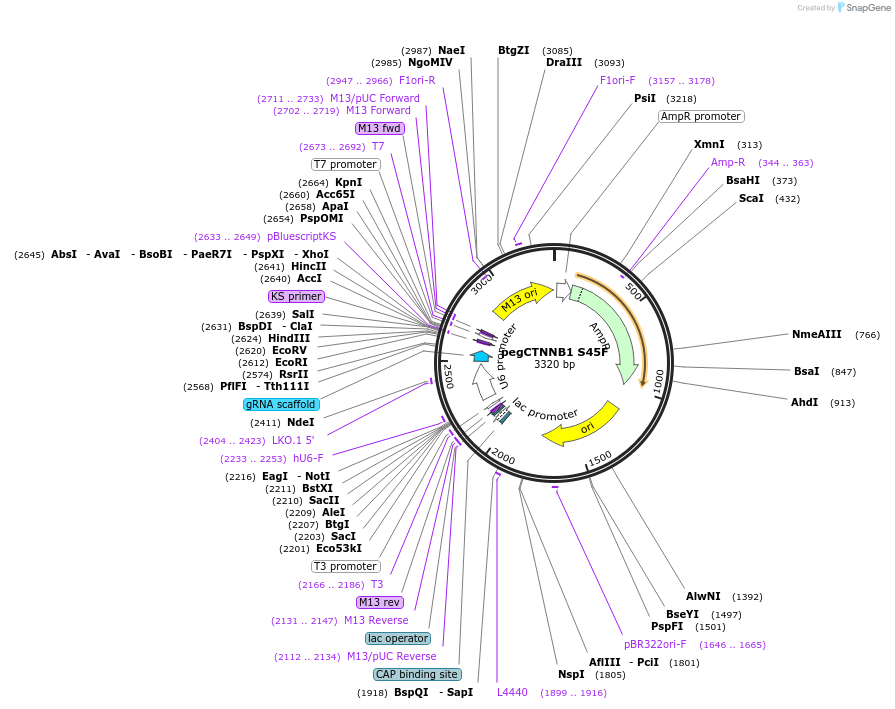 334034_map