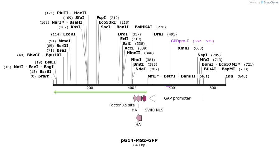33405_map