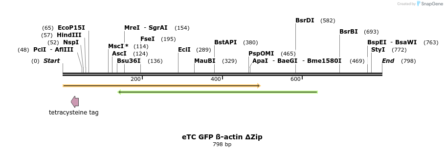 33411_map