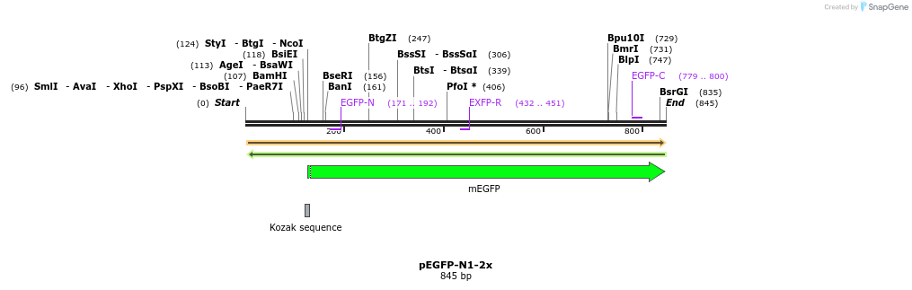 334111_map
