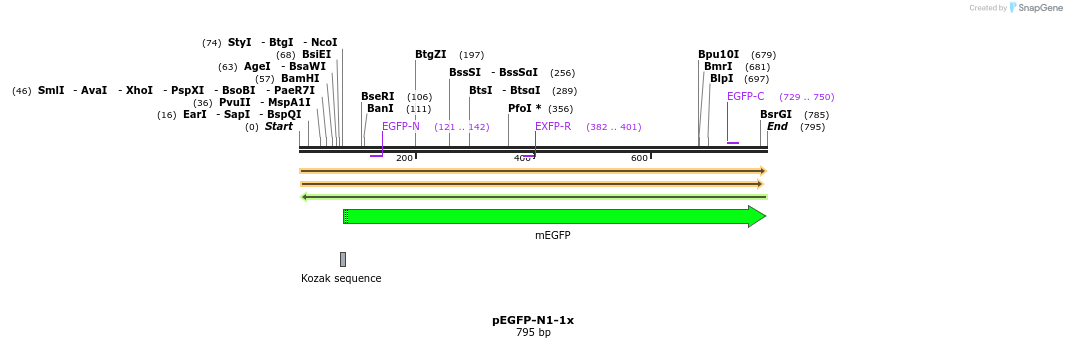 334112_map