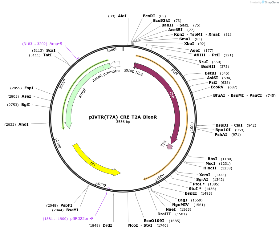 334132_map