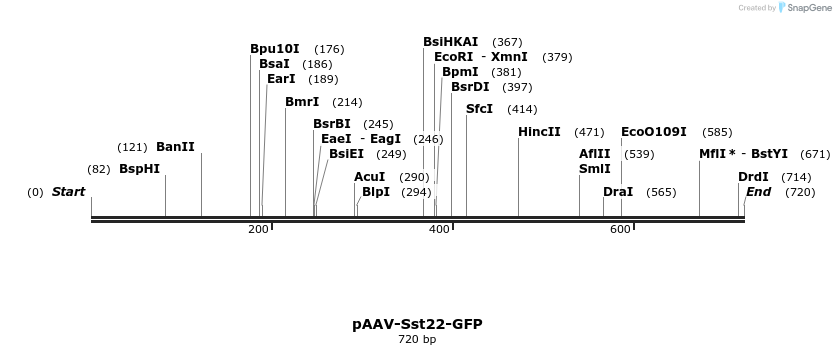 334154_map