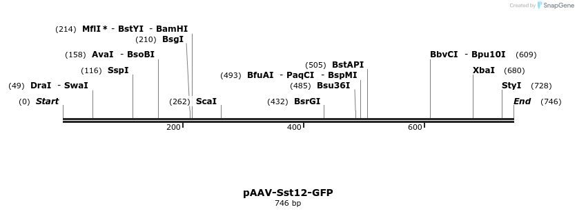 334161_map