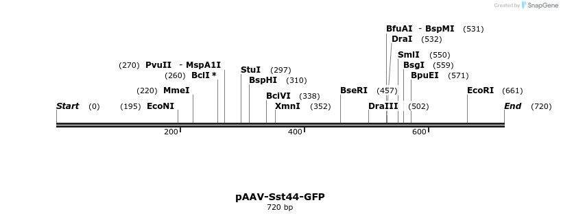 334164_map