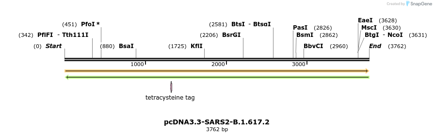 334178_map