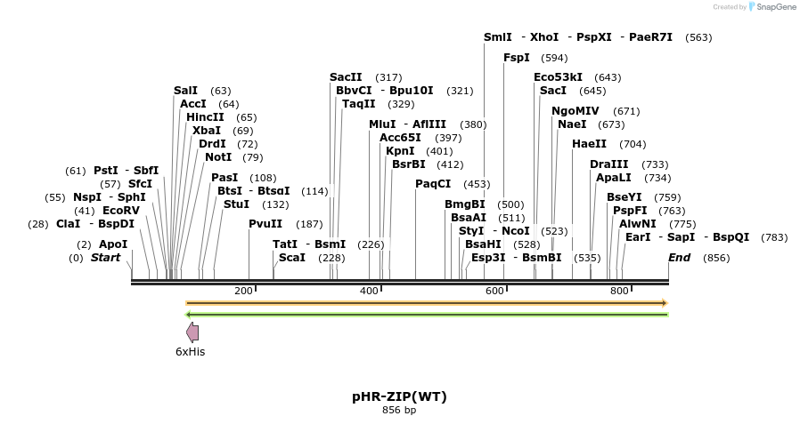 33419_map