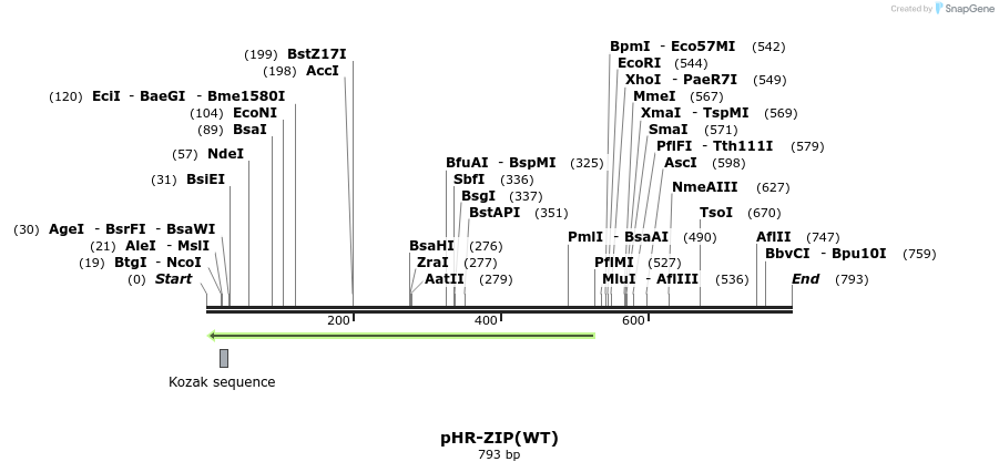 33421_map