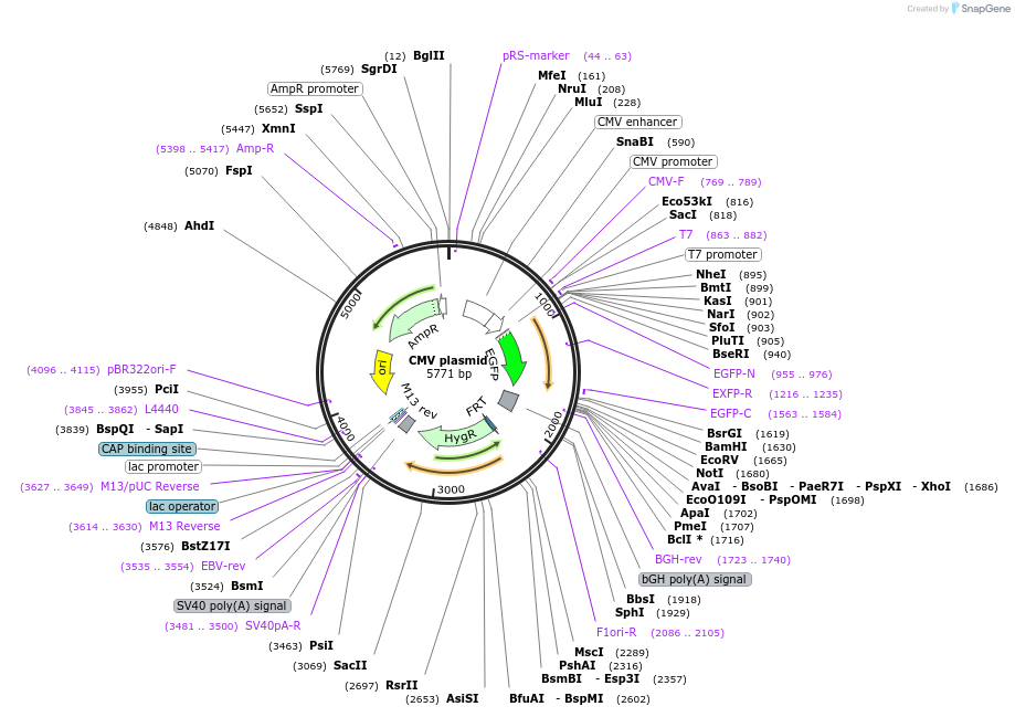 334211_map