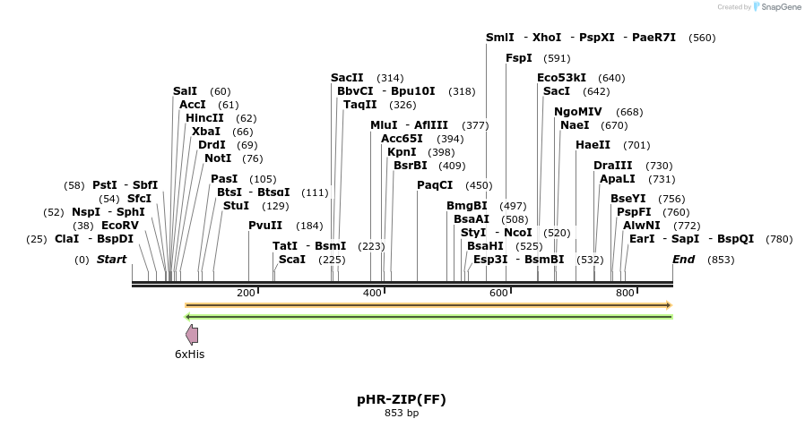 33422_map