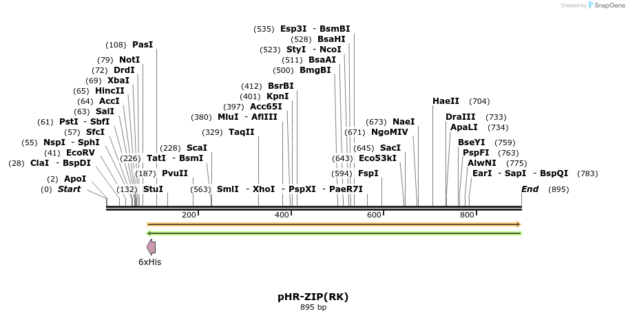 33425_map