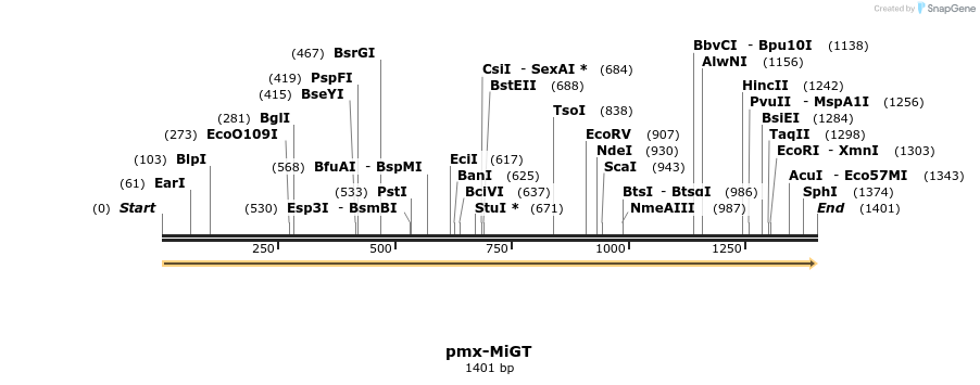 334273_map