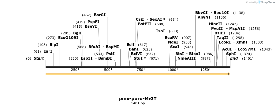 334276_map
