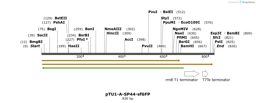 334301_map