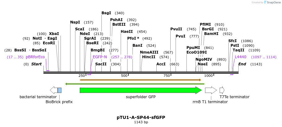 334302_map