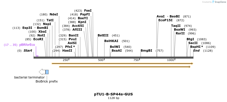 334425_map