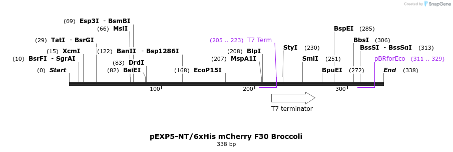 334436_map