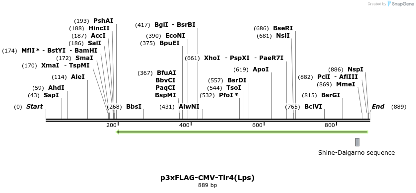33445_map