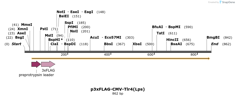 33446_map