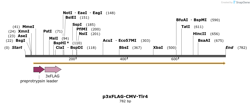 33447_map