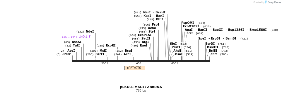 33462_map