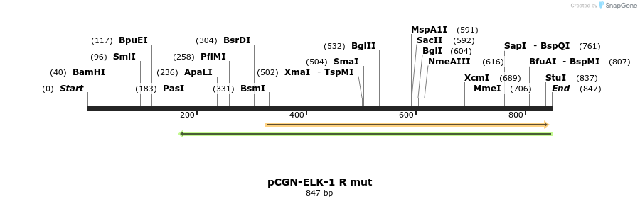 33466_map