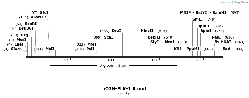 33467_map