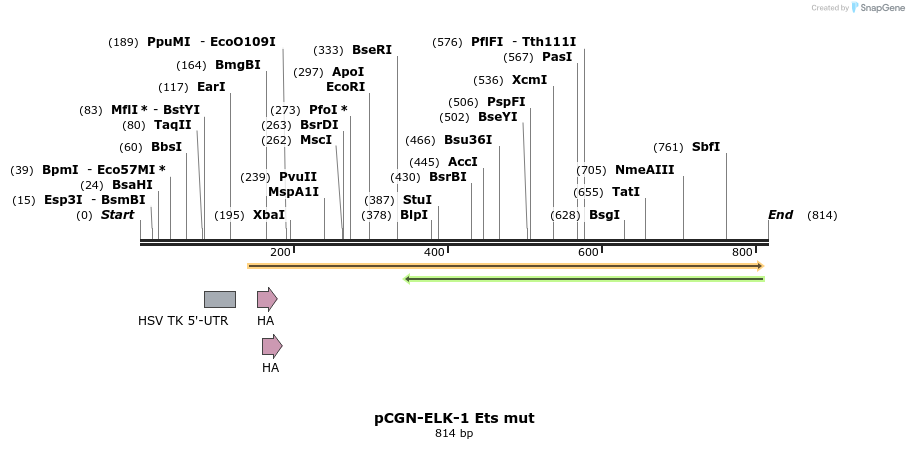 33470_map