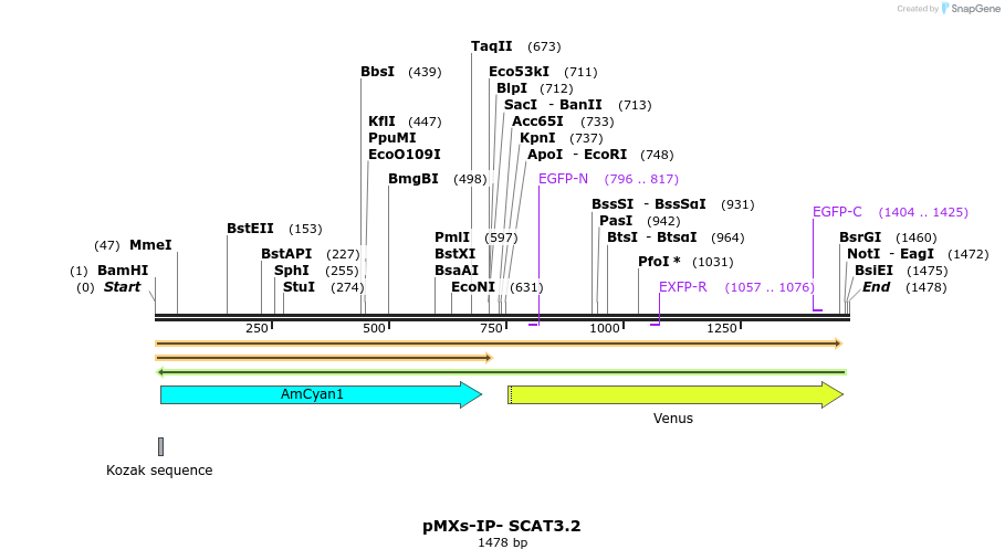 334718_map