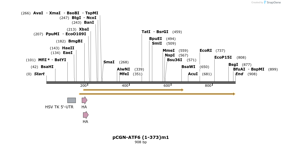 33473_map