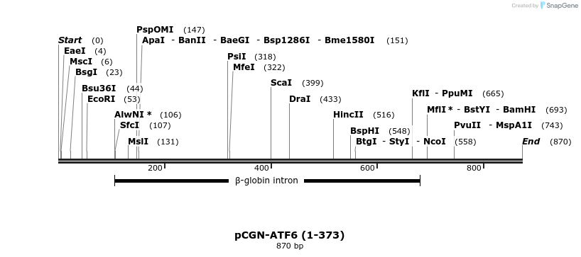 33474_map