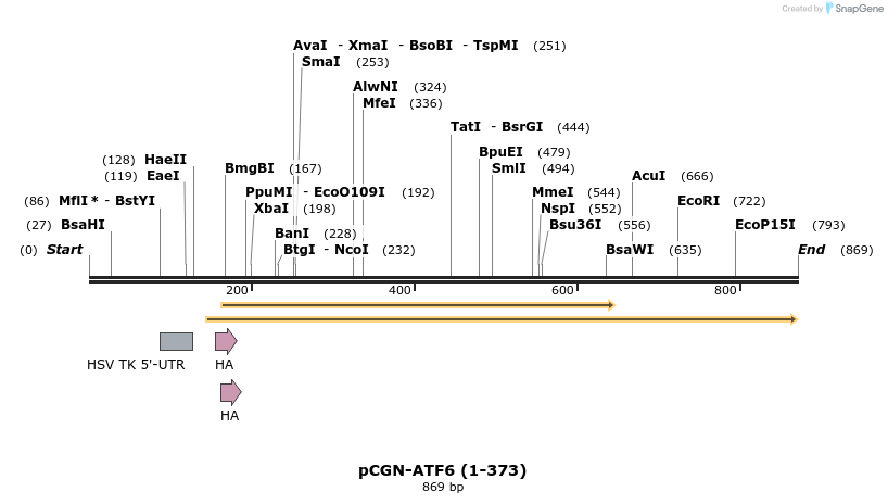 33475_map